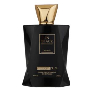 ادو-پرفیوم-مردانه-رودیر-پلاس-مدل-In-Black-حجم-100-میلی-لیتر